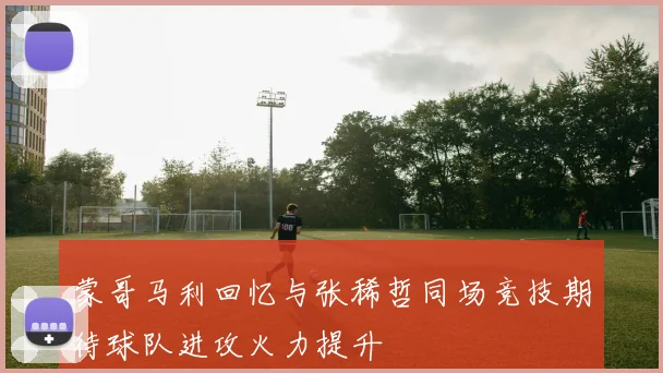 蒙哥马利回忆与张稀哲同场竞技期待球队进攻火力提升